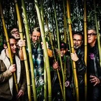 Washington Dead Cats