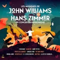 Harry Potter Et L'Ordre du Phénix en ciné-concert