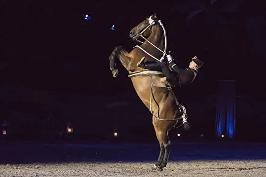 Les Galas du Bicentenaire