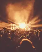 Shows