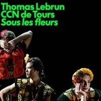 Spectacle Musical Thomas Lebrun