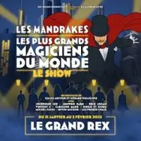 Spectacle Musical Les Mandrakes Le Show