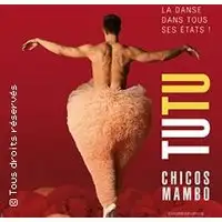 Spectacle Musical Chicos Mambo