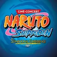 Spectacle Musical Naruto