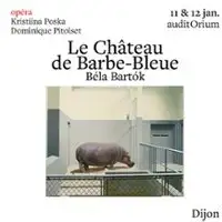 Classical & Opera Orchestre Français Des Jeunes