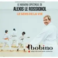 Alexis Le Rossignol - Le Sens de la Vie - Bobino, Paris