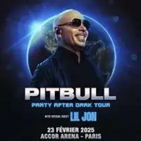 Concerts , themes.options.show.Ciné-Concert Pitbull