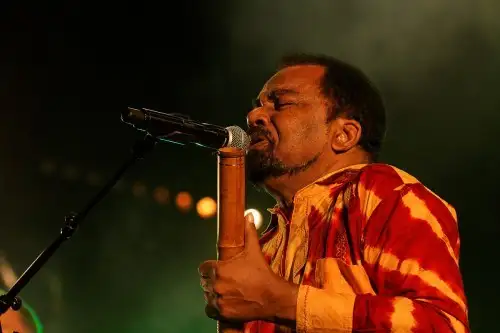 Concerts Bonga