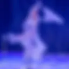 Le Cirque sur Glace