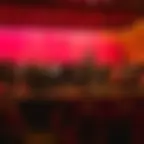 Concert du Nouvel An - Cannes Latino !