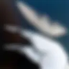 La Mouette - Anton Tchekhov - Le Carré Rond, Marseille