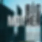 Big Mother ( Tournée )