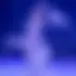 Le Cirque Sur Glace