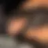 Zeïnaba