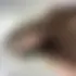 Elisa