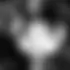 Maxence