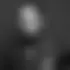 Leonardo