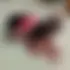 Kevin