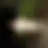 Théo