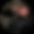 Jason