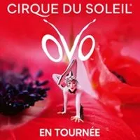 Cirque Du Soleil