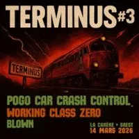 Pogo Car Crash Control