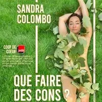 Sandra Colombo, Que Faire Des Cons ?