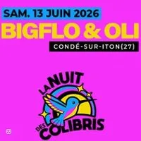 Bigflo et Oli - Festival La Nuit des Colibris