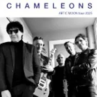 The Chameleons V