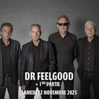 Dr Feelgood