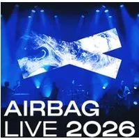 Airbag