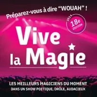 Festival International Vive La Magie