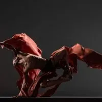 Alonzo King Lines Ballet